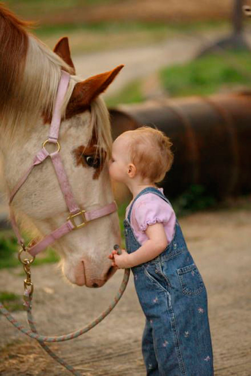 beijo no cavalo